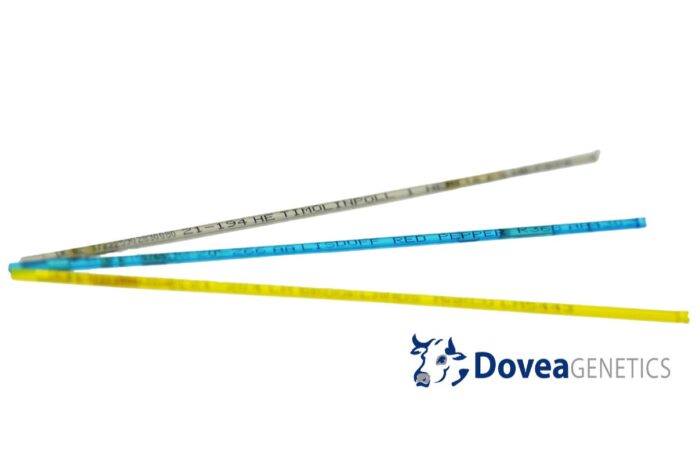 Dovea Genetics has launched new revolutionary SpermVital technology – initially created in Norway - to the Irish market for the upcoming breeding season.