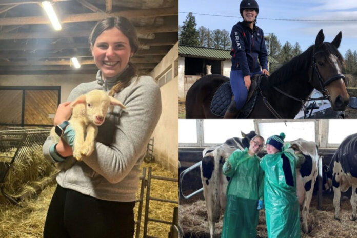 As discussions heightened around the need for a second veterinary medicine school in Ireland, That’s Farming’s editor, Catherina Cunnane, speaks to three Irish natives who are training overseas in Poland to become vets.