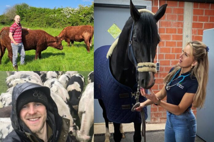 In this article, That’s Farming looks at who made our headlines this week, as part of our Ireland’s Vets, and Suckler Focus series.