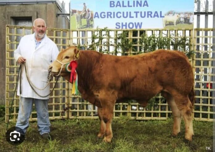 A total prize money cash pot of over €35,000 is up for grabs at the 2023 Ballina Agricultural Show, which takes place on Sunday, July 7th, 2023, writes farming journalist, Catherina Cunnane.