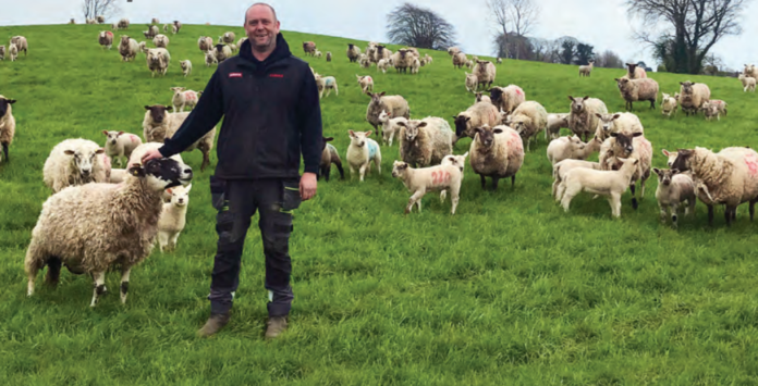 Jason Stanley and family, Rathdowney, Co Laois, have opened the gates of their thriving tillage and sheep enterprise to the public as part of a new ‘Growing Organics’ monitor farm programme, which is set to run for the next five years.