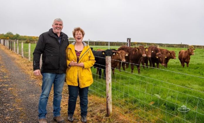 That’s Farming editor, Catherina Cunnane, in conversation with full-time farmer, Patrick Harley, Letterkenny, County Donegal, in this week’s Suckler Focus segment.