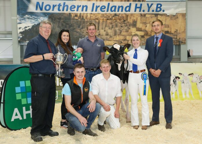 In this news article on www.thatsfarming.com, Andrew Patton, NI HYB Coordinator, provides our readers with the full set of results from the 20th AHV Multibreed Calf Show.