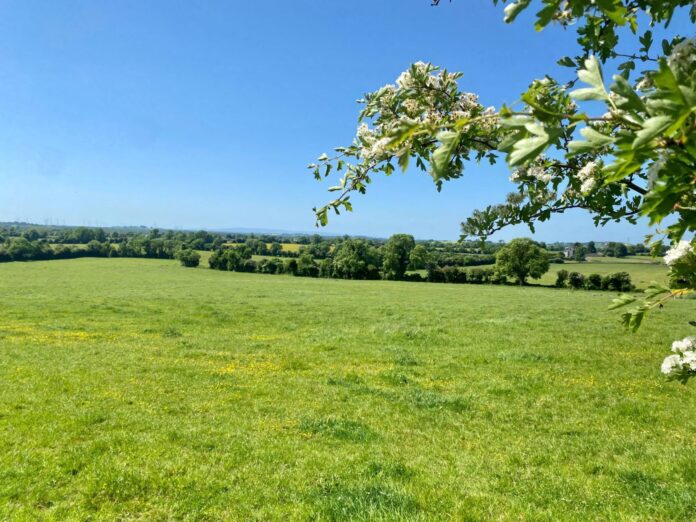Jordan Auctioneers is seeking €14,000 per acre for a “superb” landholding extending to a total of approximately c. 63 -acres in Offaly.