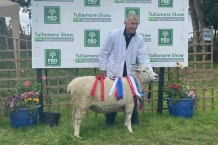 The Galway Sheep Breeders’ Association will host its 101st show and sale in Athenry Mart on Friday evening, September 22nd, 2023.