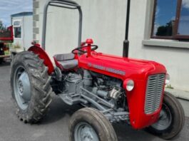 A Massey Ferguson 35 vintage tractor is up for grabs in Mayo Roscommon Hospice Foundation’s fundraiser, which will run until early 2024.